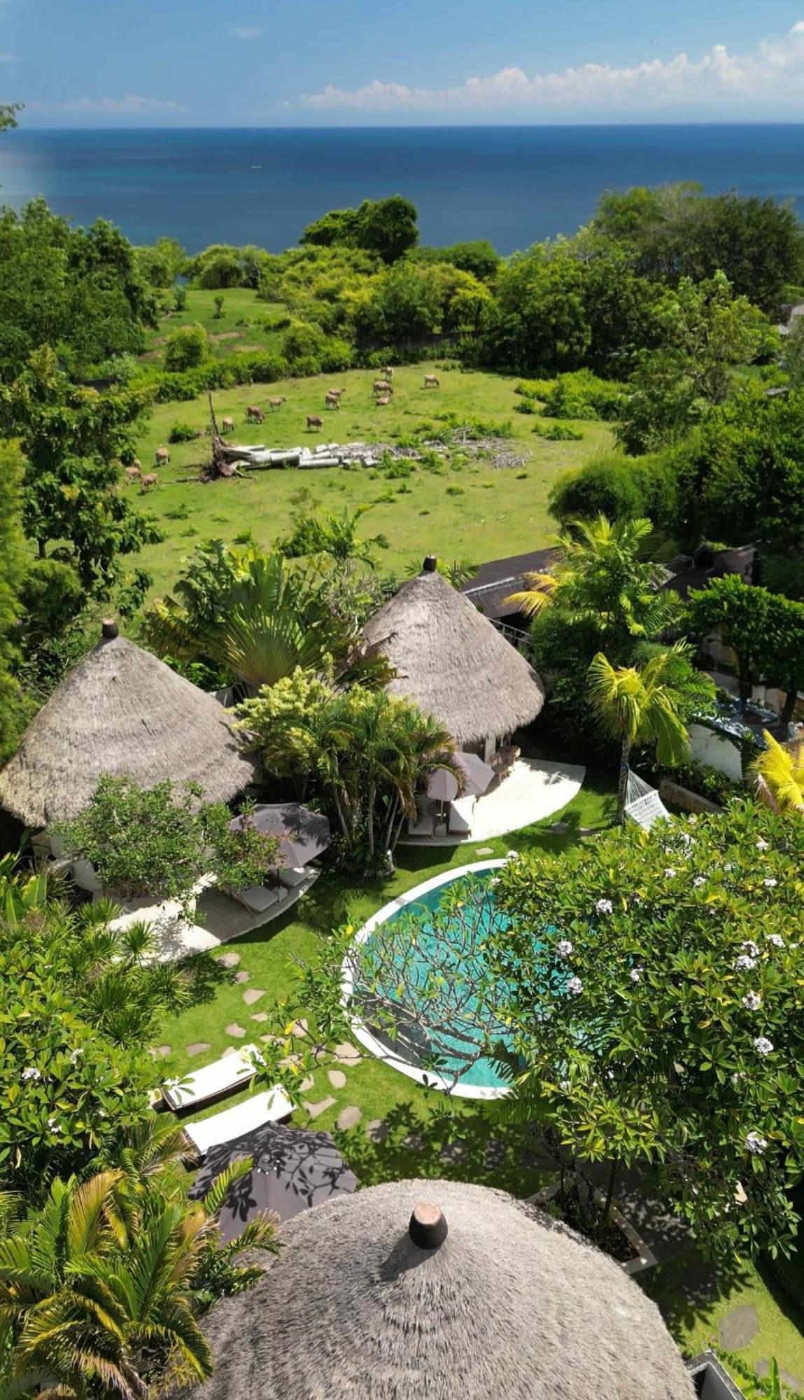 Deluxe Bungalow