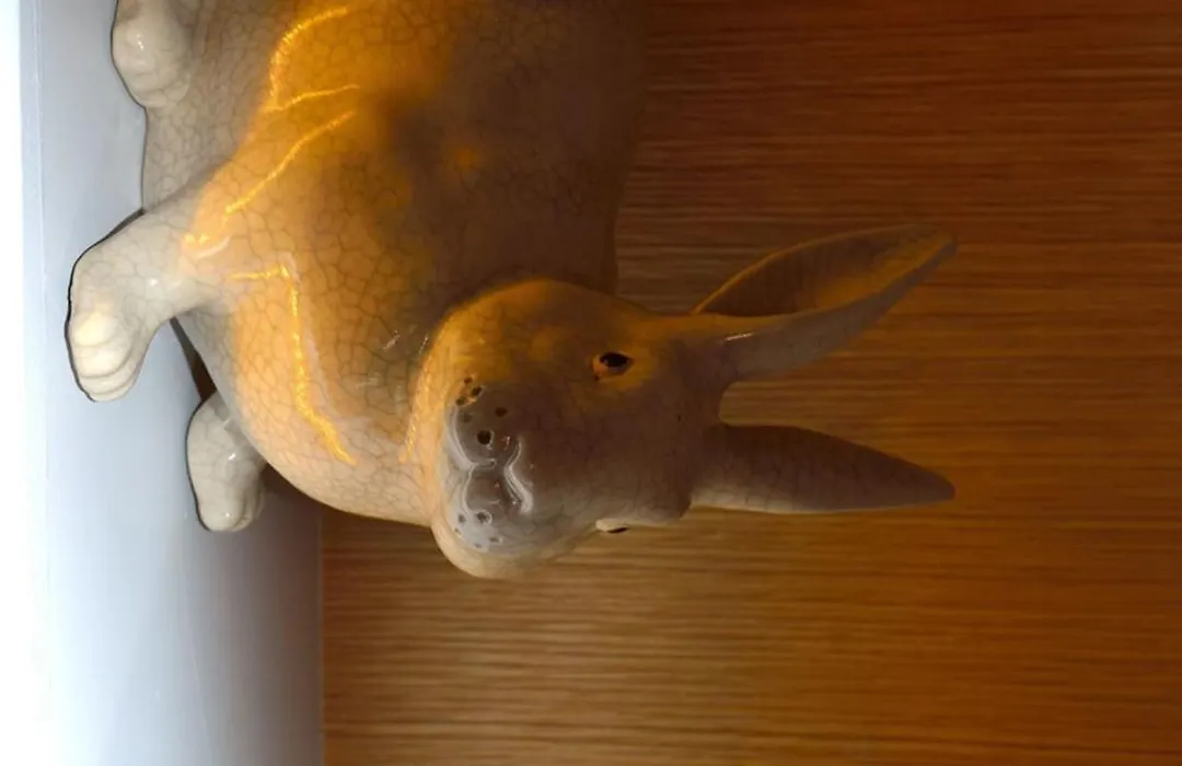 Hotel le Lapin Blanc-1