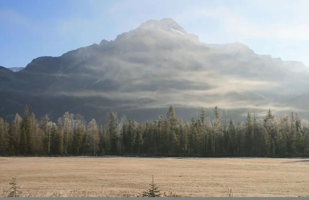 Rocky Mountain Cabins And Home-1