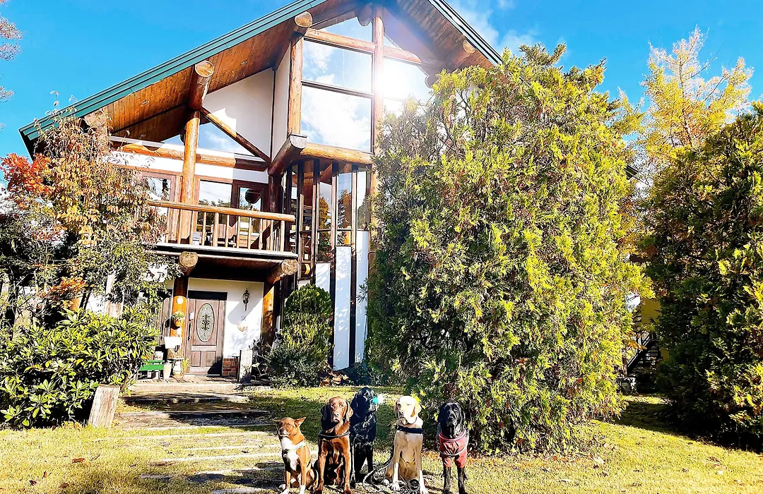 Hakuba Pension & Log Hotel Meteor-1