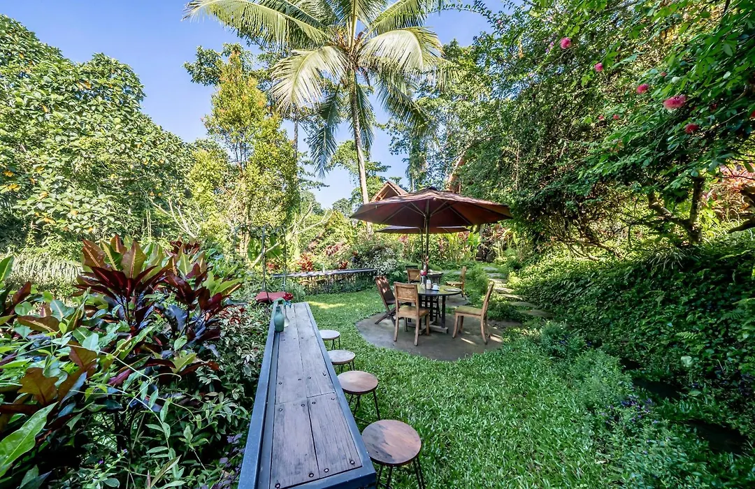 The Jungle Villa-1