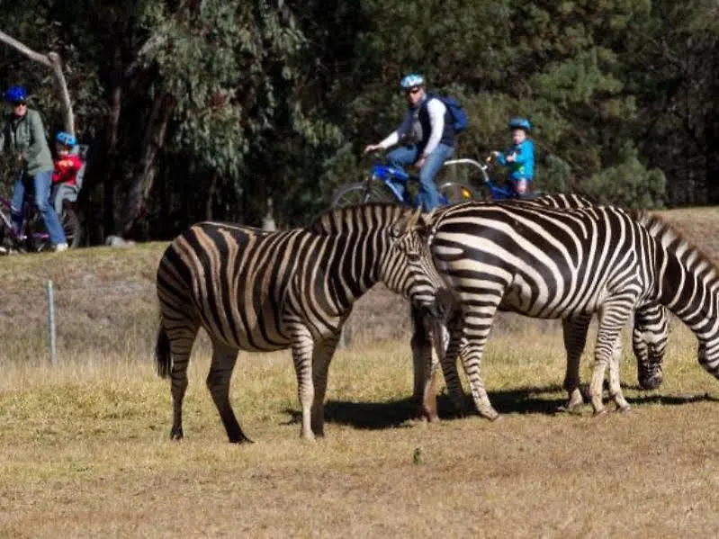 Zoofari Lodge, Taronga Western Plains Zoo-1