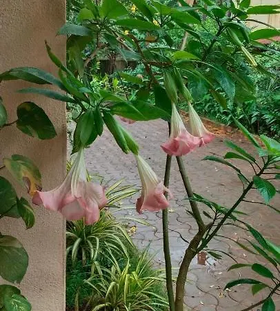 Lobos Villa-2
