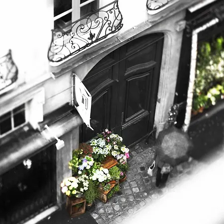 Hotel Da Vinci & Spa-3