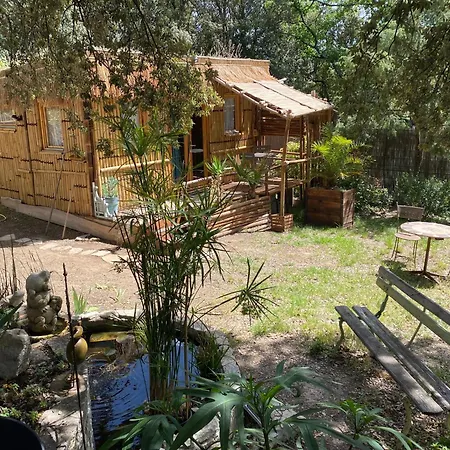 Cabane bambou-3