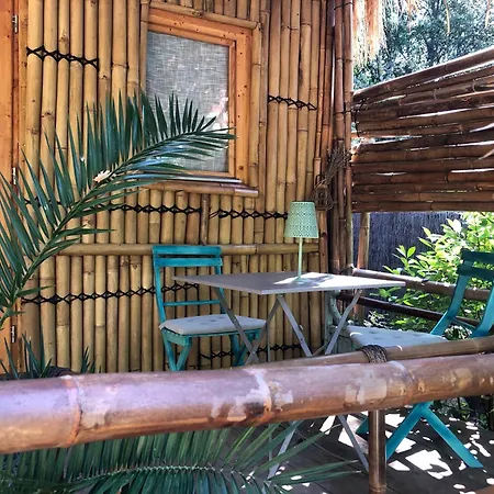 Cabane bambou-2