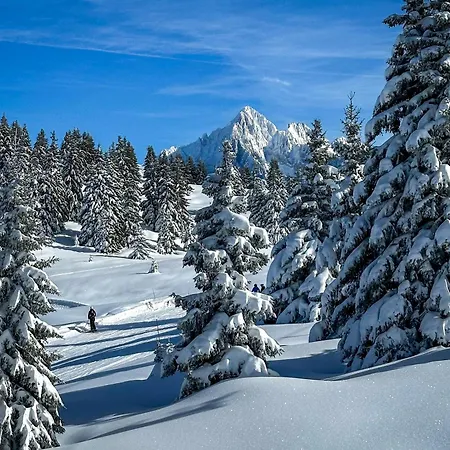 B&B Chalet Les Frenes-3