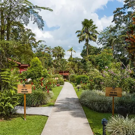 Catarata Eco Lodge-3