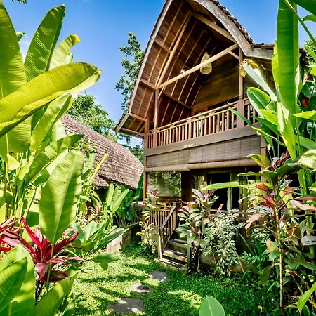 The Jungle Villa-2