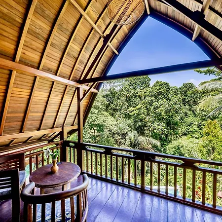 The Jungle Villa-3