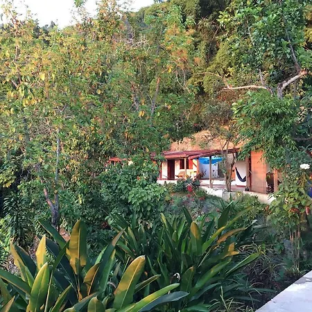 Finca San Rafael - Cafe Y Cacao-3