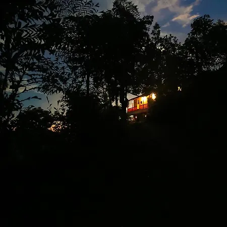 Finca San Rafael - Cafe Y Cacao-2