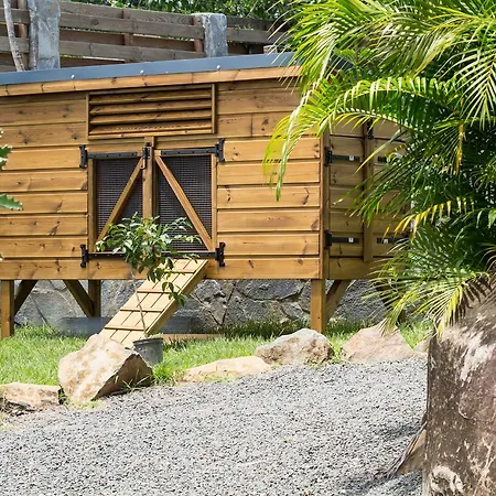 Iguana Ecolodge-3