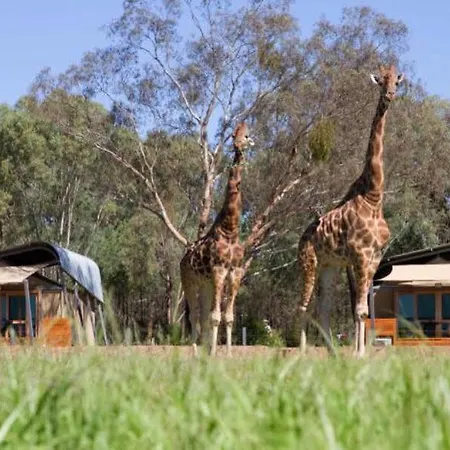 Zoofari Lodge, Taronga Western Plains Zoo-2