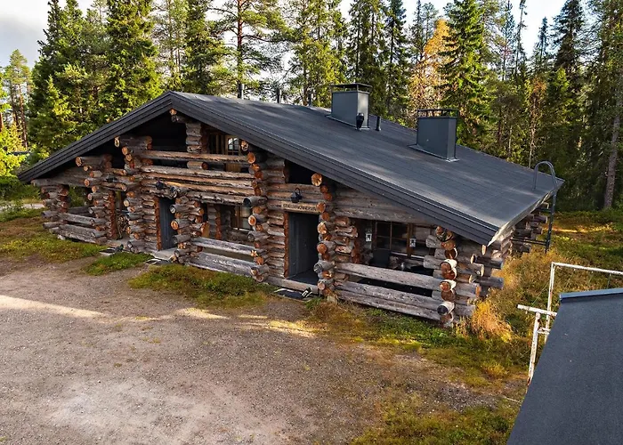 Unelmakanerva