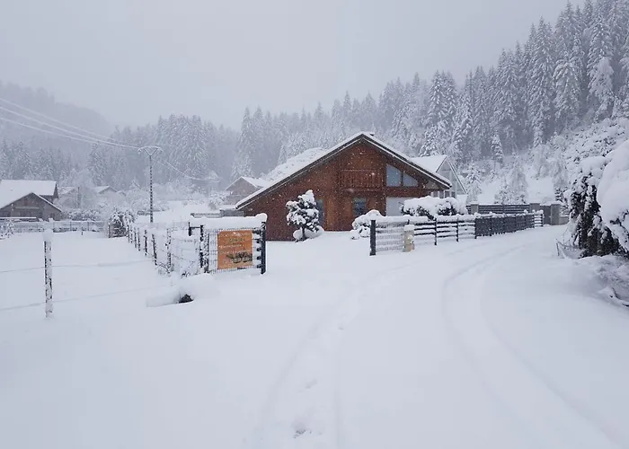 Chalet tout confort 'Le Grand Pré', terrain clôturé, garage