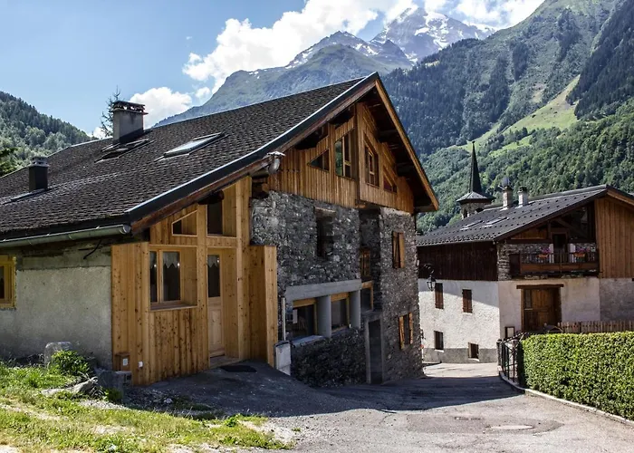 Le Petit Saint Bernard