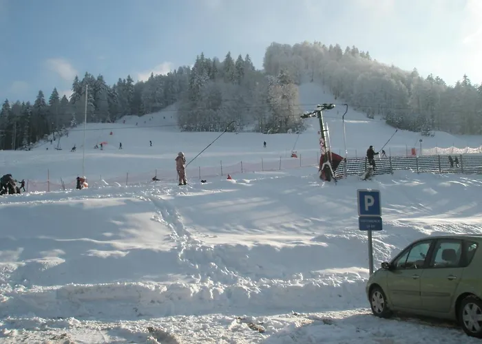 Chalet Mauselaine