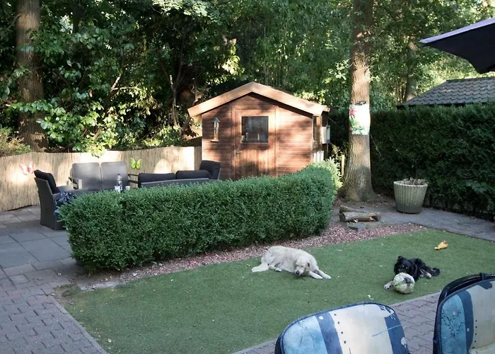 Chalet Vakantie Wageningen Veluwe