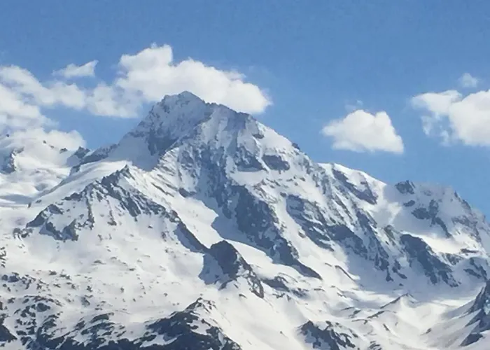 Le Petit Saint Bernard