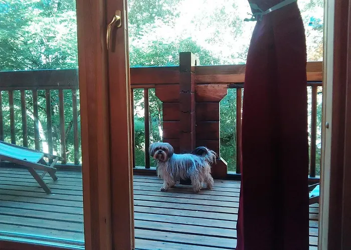 Chalet bois au milieu des Pyrénées