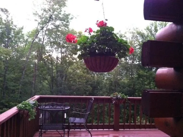 The Catskill Cabin