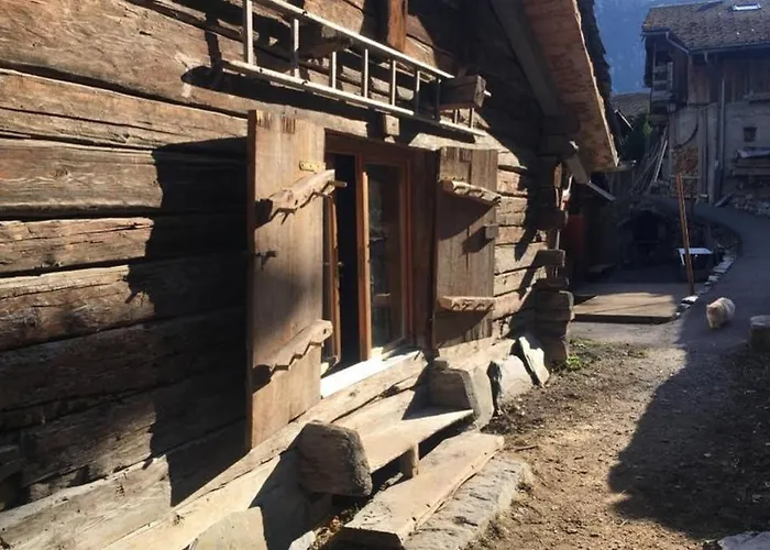 La cabane de l'homme tranquille