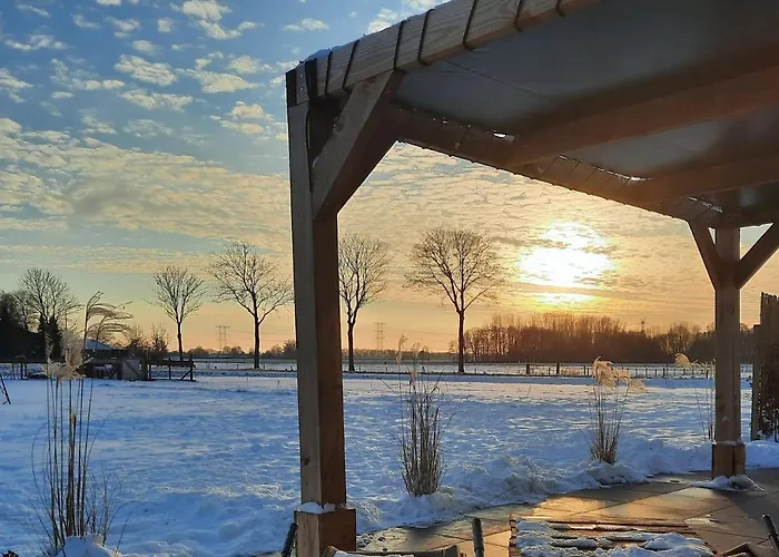 'T Nieuwe Nest