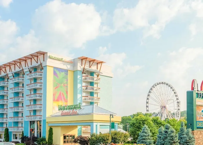 Pets Allowed Hotel Margaritaville Island Inn