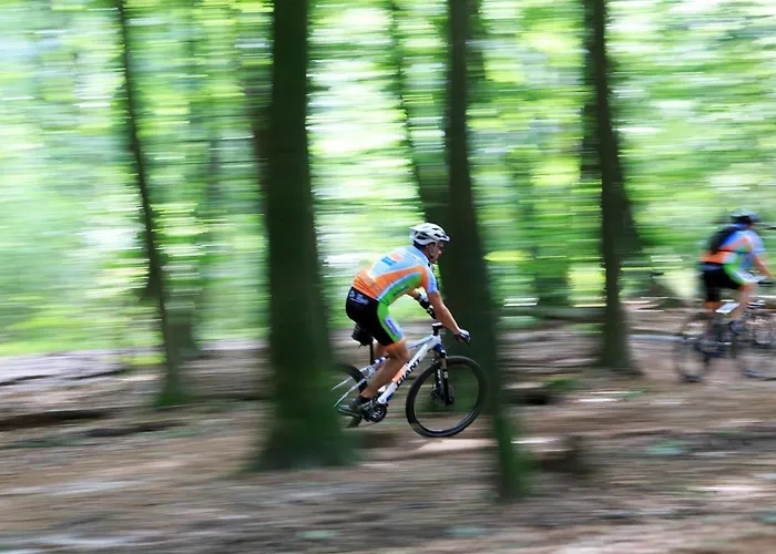 Chalet Op De Veluwe # Berk
