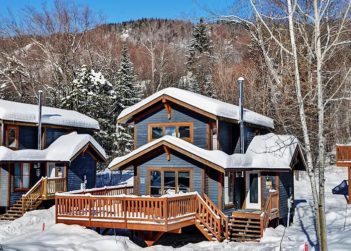 Chalets Alpins - 12 Chemin Alpin