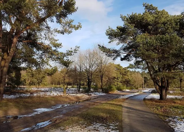 Chalet Op De Veluwe # Berk