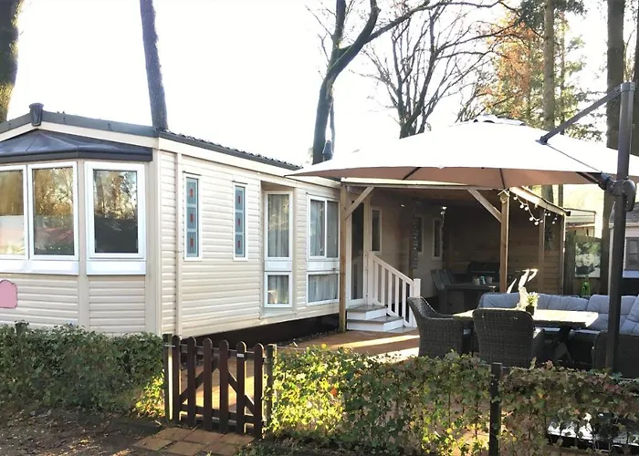 Prachtige Chalet Op De Veluwe Nabij Hoenderloo