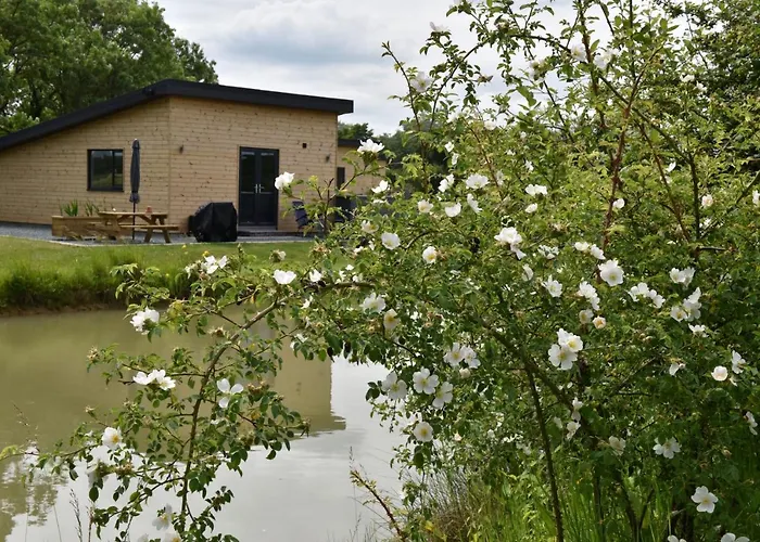 Col'S Mere