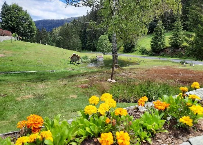 Chalet Elisa