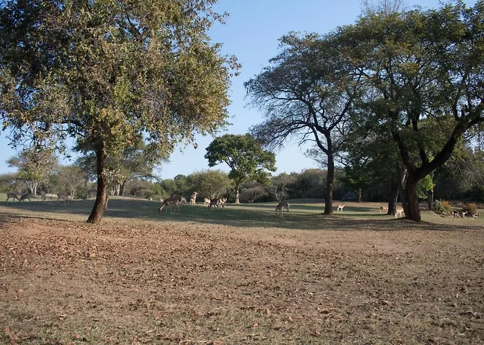 Kruger Park Lodge Unit 245