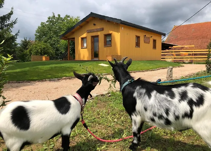 Chalet Au Natur'Heil Nature-Spa-Gourmandise