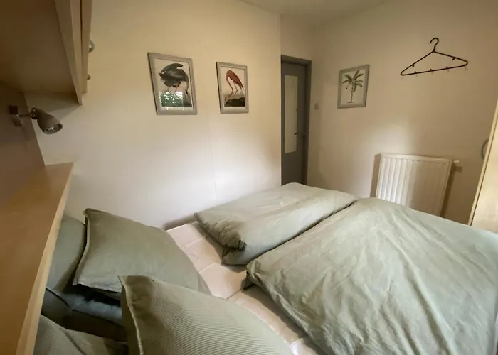 Ruim En Modern Chalet In De Veluwse Bossen