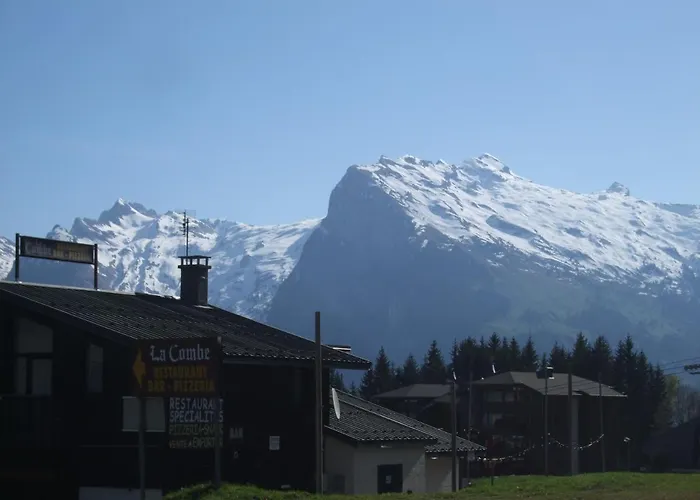 Chalet Montagne 11 P Grand Massif 100 M Telecabine