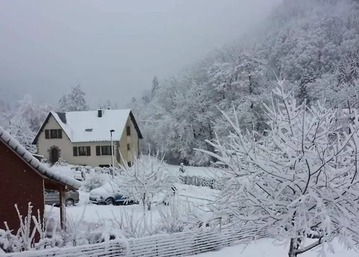 Chalet Loulou, Massif Central, Le Mont-Dore