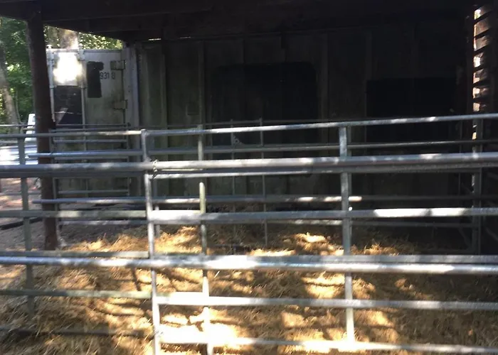 La Bulle Du Trappeur (Chevaux bienvenus)