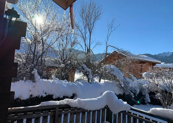 Le Petit Chalet de Montriond