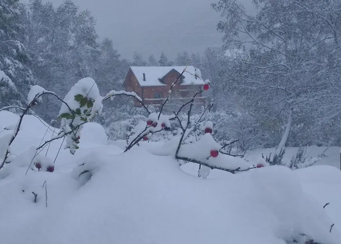 Chalet bois au milieu des Pyrénées