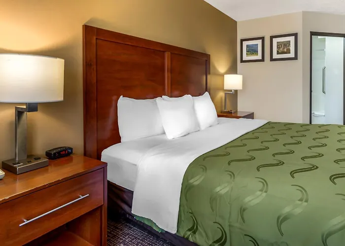 Beach Hotels Quality Logan Near University
