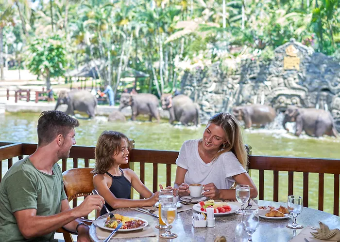 Hotel suites Mason Elephant Lodge