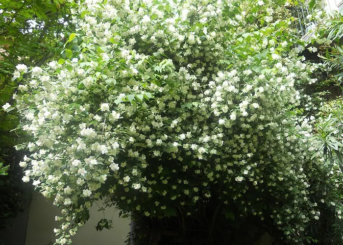 Le Cloitre Du Couvent