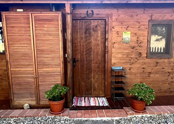 Rustic Cabin In The Woods/Cabana En El Bosque