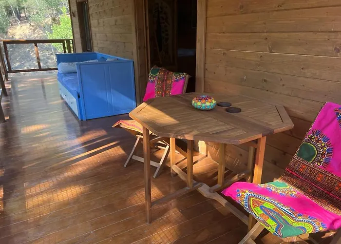Rustic Cabin In The Woods/Cabana En El Bosque