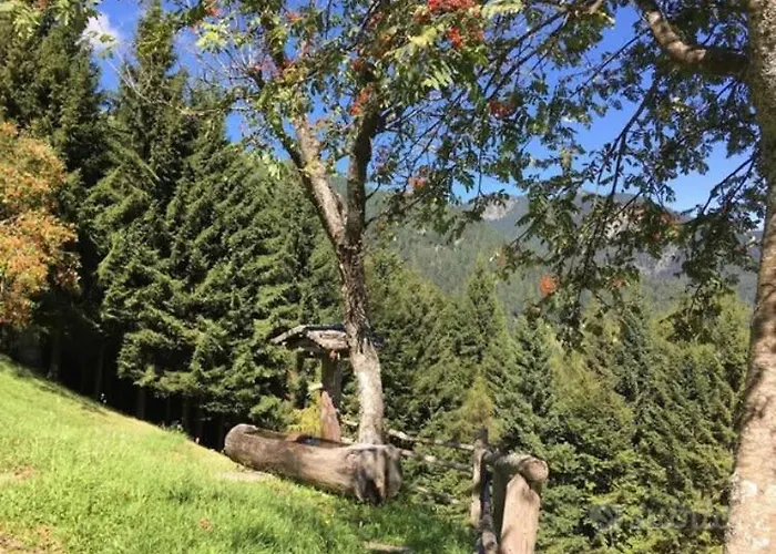 Baita Palue