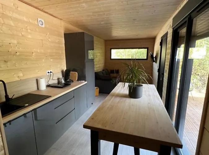 Chalet 1 contemporain dans son écrin de verdure